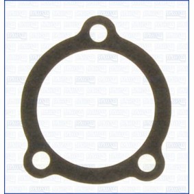 Dichtung, Thermostat 00739200