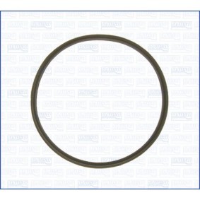 Dichtung, Thermostat 00811800