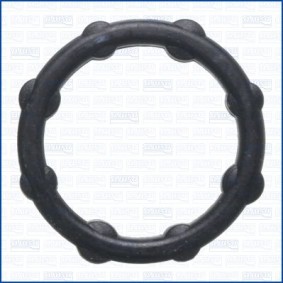 Dichtung, Kraftstoffpumpe 01038500