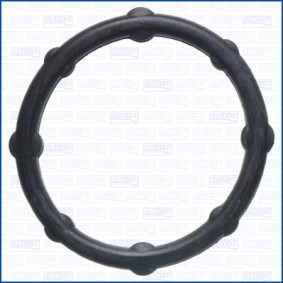 Dichtung, Kraftstoffpumpe 01038600