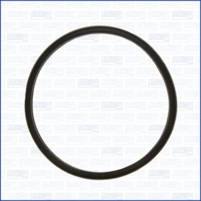 Dichtung, Thermostat 01240800