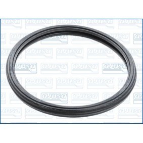 Dichtung, Thermostat 01300100