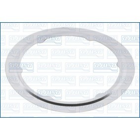 Dichtring, Lader 01329600