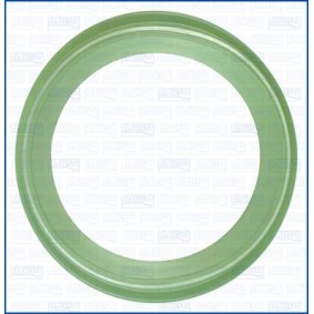 Turboladerdichtung 01577200