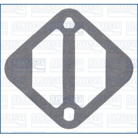Dichtung, Drosselklappe 01596100
