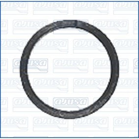 Dichtring, Einspritzventil 01724100