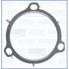 AGR-Ventil-Dichtung 01727200