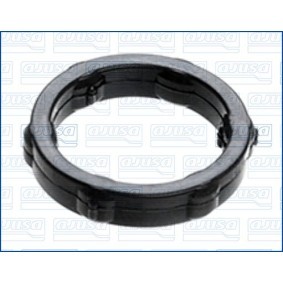 Nockenwellenversteller-Dichtung 01943100