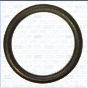 AGR-Ventil-Dichtung 16072300