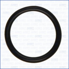Dichtung, Thermostat 16084900