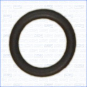 Dichtung, Unterdruckpumpe 16096000