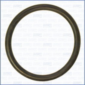 Dichtung, Kühlmittelrohr 16097500