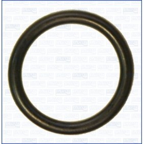 Dichtung, Kühlmittelrohr 16098400
