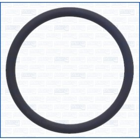 Dichtung, Thermostat 16134100