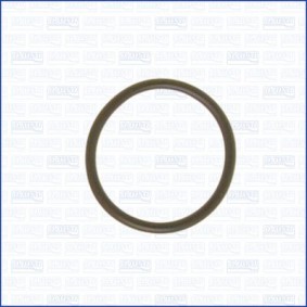 Nockenwellenversteller-Dichtung 16505000