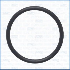 Dichtung, Wasserpumpe 16556900