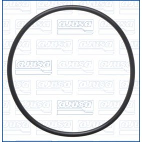 Dichtung, Kraftstoffpumpe 16559100