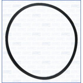 Dichtung, Ölfilter 24037900