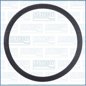 Dichtung, Ölfilter 24047300