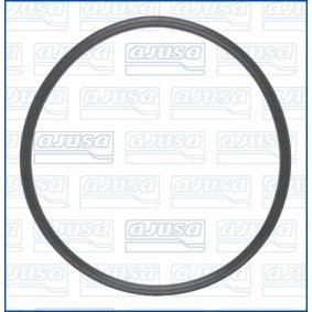 AGR-Ventil-Dichtung 28011000
