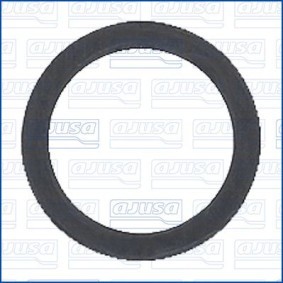 Dichtung, Thermostat 33001500