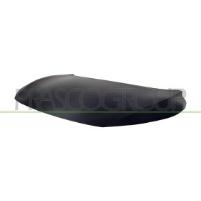Motorhaube DS7143110