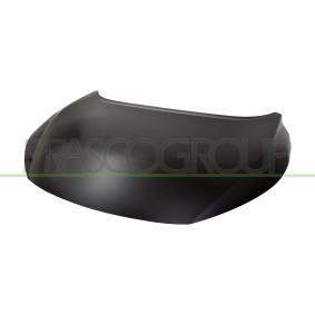 Motorhaube DS7143130