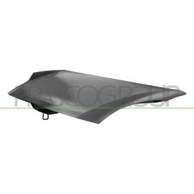 Motorhaube FD6203130