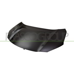 Motorhaube TY6503100
