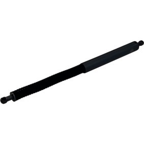 Heckklappendämpfer EBM123-L