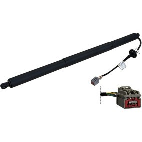 Comprar Amortiguador de maletero de MAX ETA100-R a bajo precio de 231,64 €