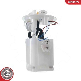 Achetez des Unité d'injection de carburant ESEN SKV 02SKV858 à prix pour 68,51 €