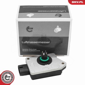 Luftmassenmesser (LMM) 07SKV521
