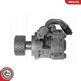Servopumpe 10SKV323