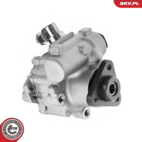 Servopumpe 10SKV324