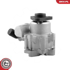 Servopumpe 10SKV329