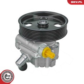 Servopumpe 10SKV334