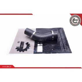 Köp Gasfjäder till baklucka av ESEN SKV 52SKV846 till det låga priset 675,49 kr
