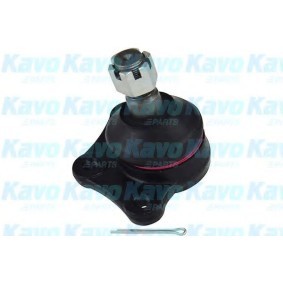 Traggelenk S4228807