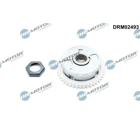 Osta Nokka-akselin ajoitussäädin DR.MOTOR AUTOMOTIVE:llä DRM02493 edullisesti hintaan 317,19 €