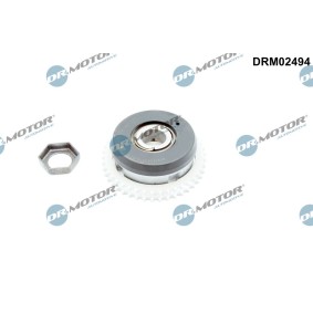 Osta Nokka-akselin ajoitussäädin DR.MOTOR AUTOMOTIVE:llä DRM02494 edullisesti hintaan 221,39 €