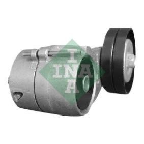 Acquista Rullo tenditore cinghia Poly-V da INA 531 0614 30 a buon mercato per soli 105,53 €