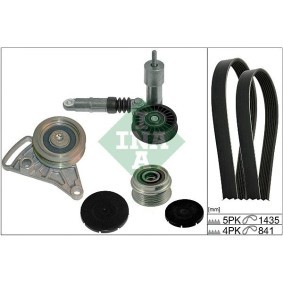 Compre Rolo tensor, correia dentada da INA 531 0659 20 a um preço baixo por 373,46 €