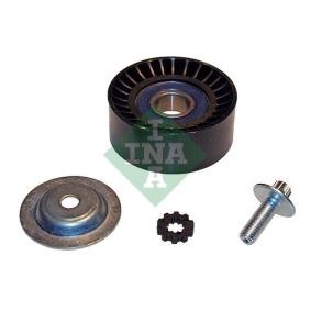 Compre Polia de desvio / de guia, correia trapezoidal estriada da INA 532 0617 10 a um preço baixo por 21,48 €