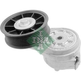 Comprar Brazo tensor, correa poli V de INA 534 0113 20 a bajo precio de 53,84 €