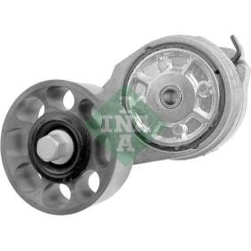 Comprar Brazo tensor, correa poli V de INA 534 0117 20 a bajo precio de 111,45 €