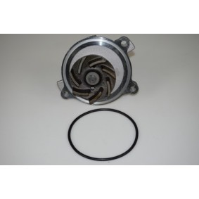 Achetez des Pompe à eau LTD LTD-046121004DX à prix pour 21,46 €