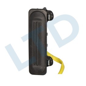 Heckklappengriff LTD-51829929