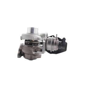 Compre Junta, cabeça do motor da LTD LTD-55567731 a um preço baixo por 424,78 €