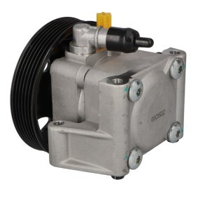 FORD Servopumpe von PROCARO